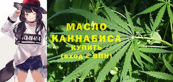 дживик Верхний Тагил