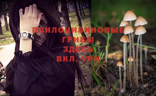 apvp Бронницы