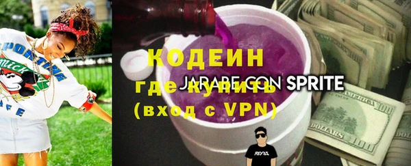 гашик Сосновка
