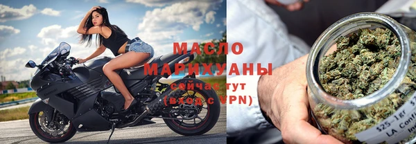 дживик Верхний Тагил
