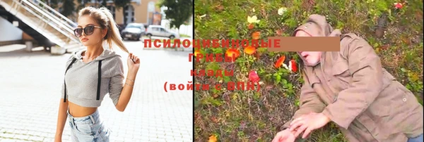 дживик Верхний Тагил